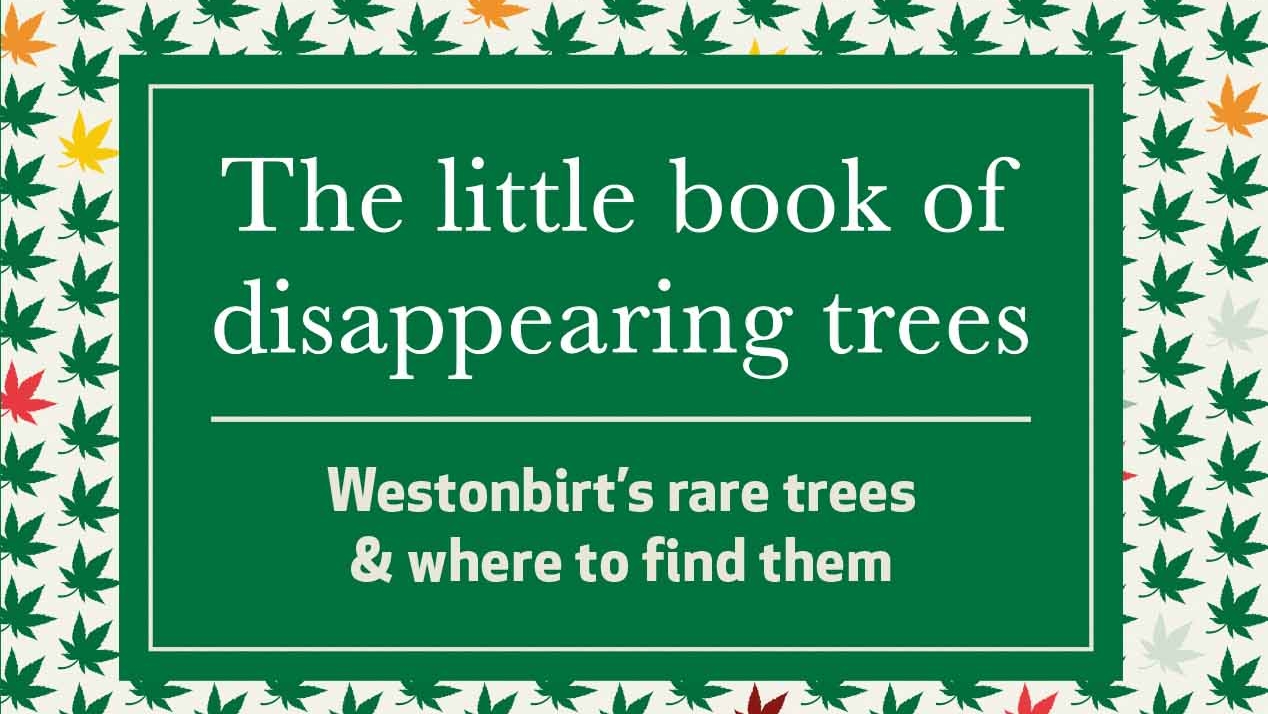 Little book of disappearing trees